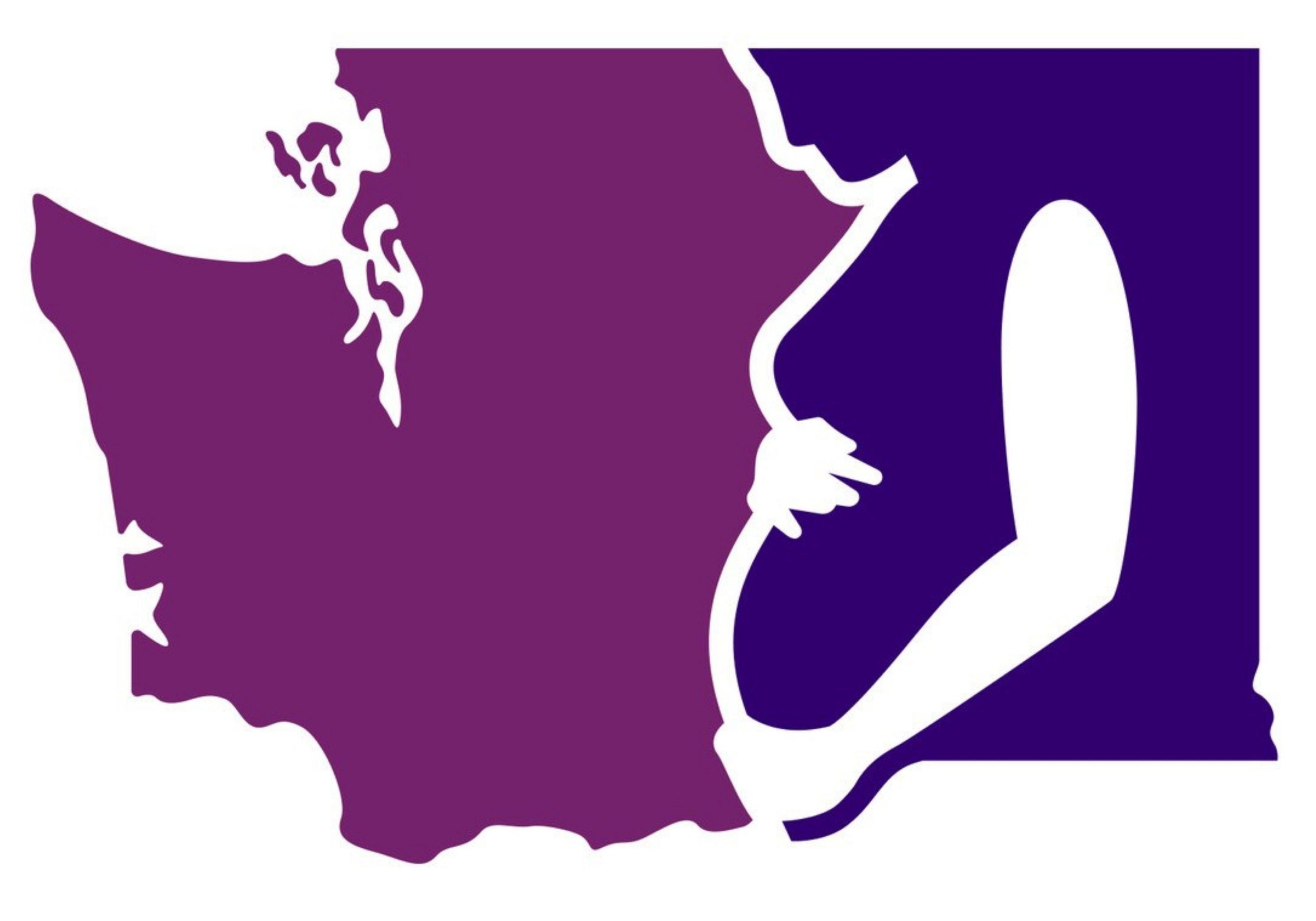 DS2722: Moms’ Access Project ECHO (MAP ECHO): Perinatal Mental Health & Substance Use Case Conference Series Banner